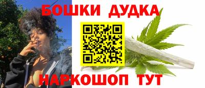 гидра Кингисепп