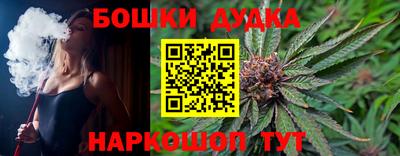 гидра Кингисепп